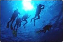 PADI Discover Scuba Diving with Dive The World