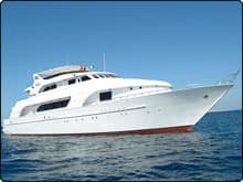 MY Blue Seas Liveaboard in the Red Sea