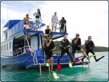 Dive The World Launches PayPal Payments Pro