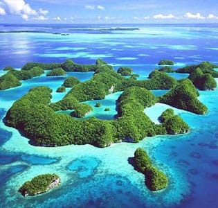 Planning a Dive Holiday? Learn About the Palau Eco Pledge