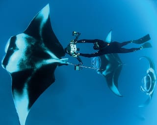 Mantas in Maldives with Thomas Peschak