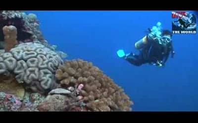 Save Up to US$ 520 per Diver at Layang Layang