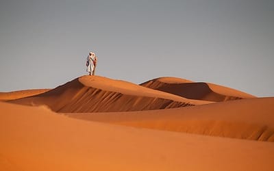 Uncharted Morocco: A Mosaic of culture, landscapes and hidden gems