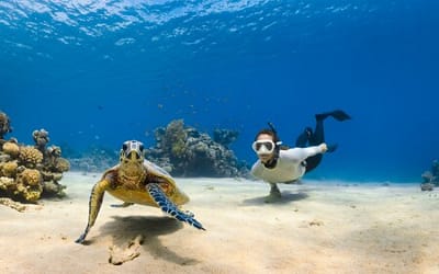 Planning a Bachelorette Party With a Diving Trip