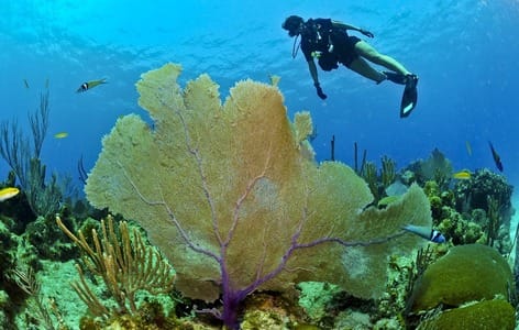 Beyond the Surface: Exploring Thailand’s Hidden Depths 