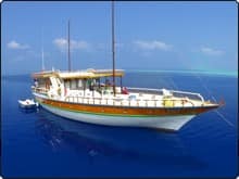 The Flying Fish in the Maldives