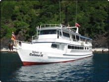 Colona VI